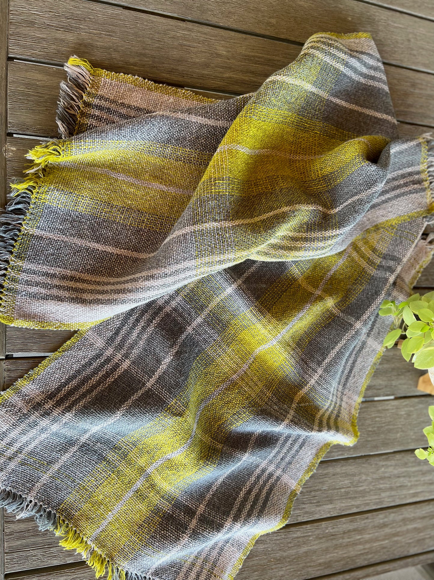 Tea Towel Set - Spring in the City